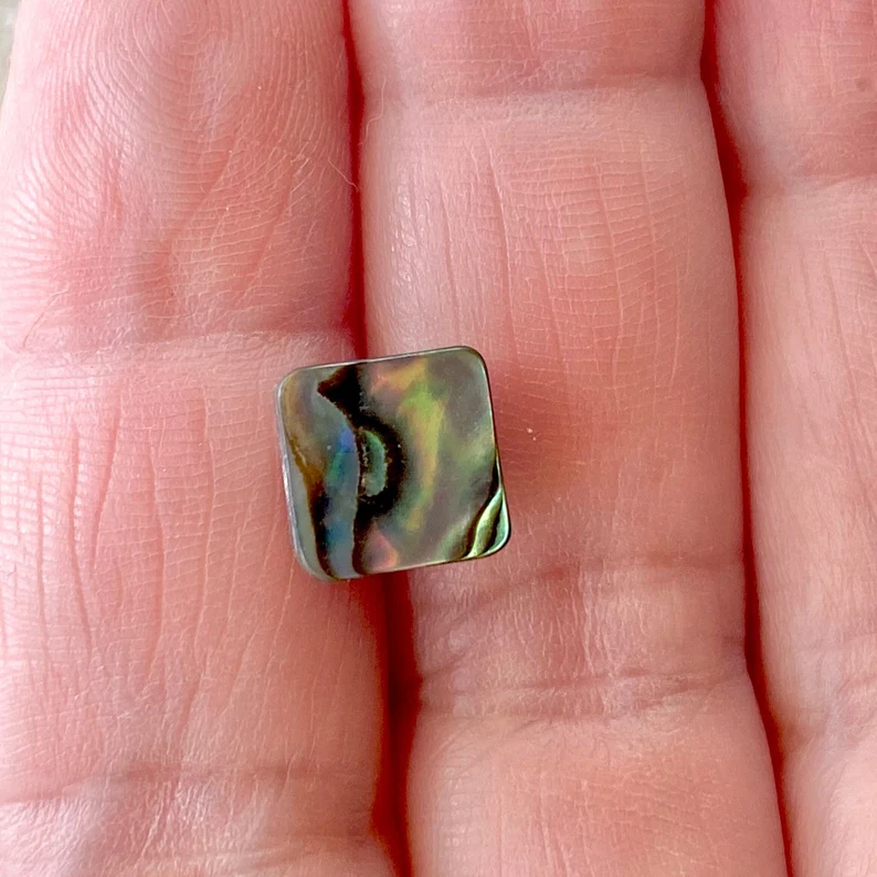 Abalone Ohrstecker Zarte Muschel Ohrringe Abalone Muschel Ohrringe Schutz Schmuck Handgemachter Boho Schmuck Geschenk für Sie